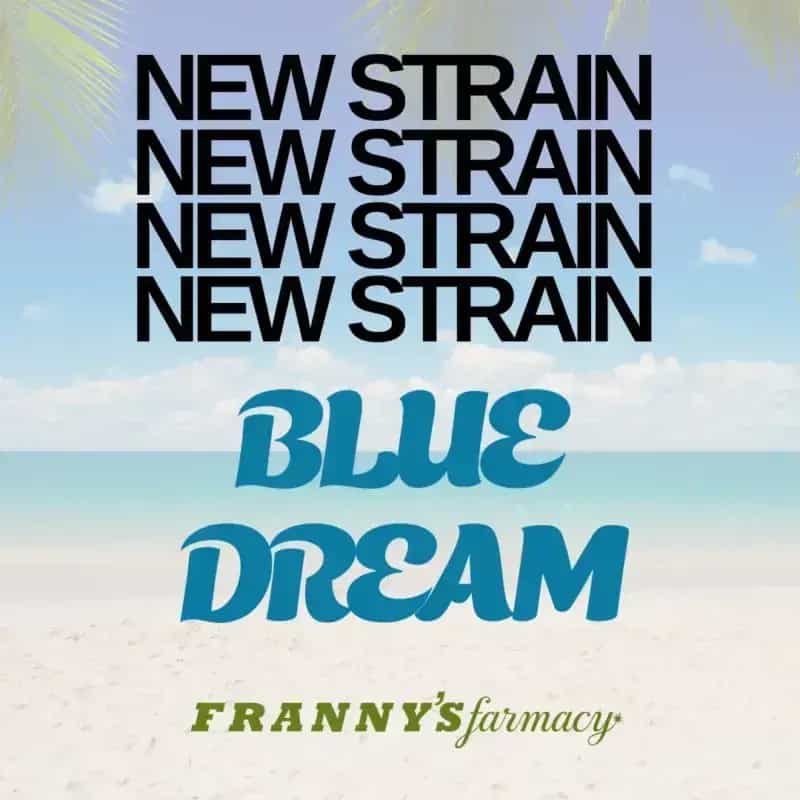 Blue Dream THCa Flower – Premium Indica (30.29%)
