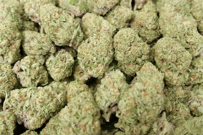 Orange Creamsicle (Sativa 26.7%)