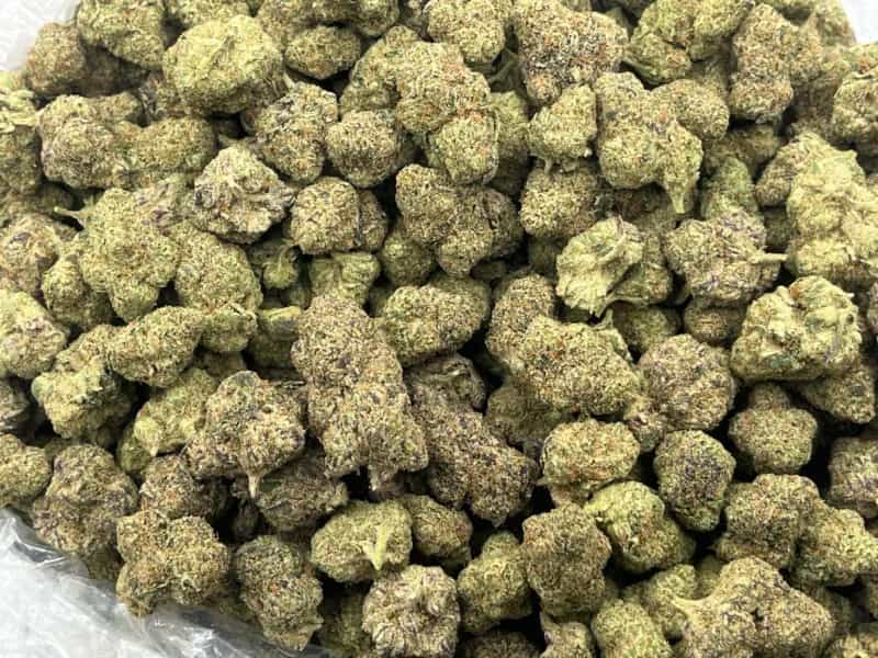 Cherry Haze THCa Flower – Premium Sativa (31.01%)